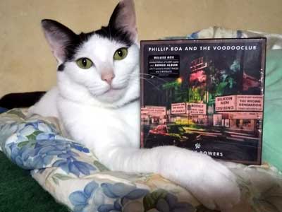 Earthly Powers in Japan